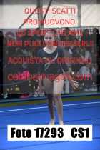 17293_CS1-