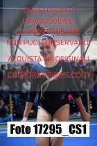 17295_CS1-
