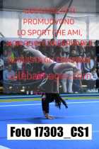 17303_CS1-