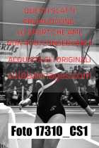 17310_CS1-