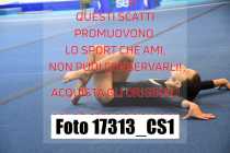 17313_CS1-