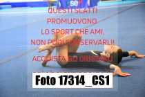17314_CS1-