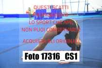 17316_CS1-