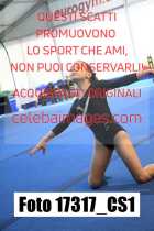 17317_CS1-
