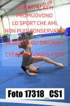 17318_CS1-