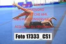 17333_CS1-