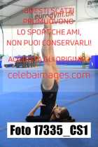 17335_CS1-