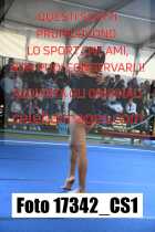 17342_CS1-