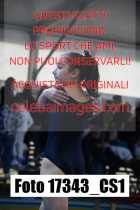 17343_CS1-