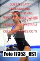 17353_CS1-