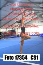 17354_CS1-
