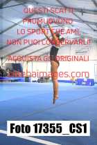 17355_CS1-