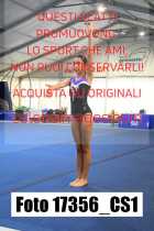 17356_CS1-