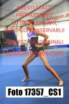 17357_CS1-