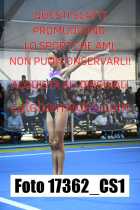 17362_CS1-