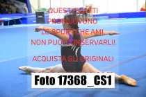 17368_CS1-