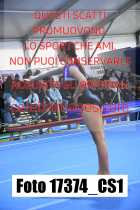 17374_CS1-
