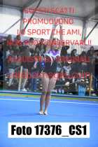 17376_CS1-