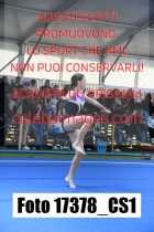 17378_CS1-