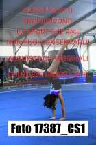 17387_CS1-