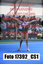 17392_CS1-