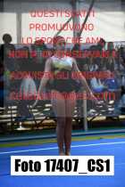 17407_CS1-