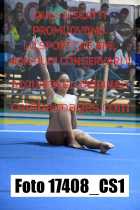 17408_CS1-