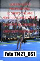 17421_CS1-