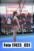 17423_CS1-