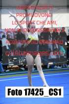 17425_CS1-