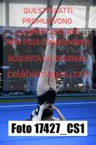 17427_CS1-