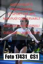 17431_CS1-