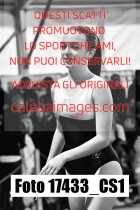 17433_CS1-