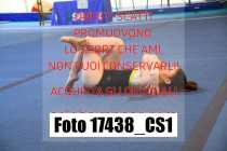 17438_CS1-