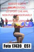 17439_CS1-