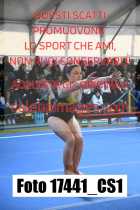 17441_CS1-