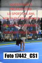 17442_CS1-