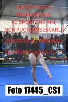 17445_CS1-