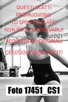 17451_CS1-