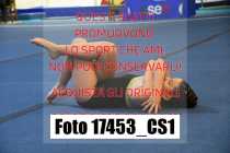17453_CS1-