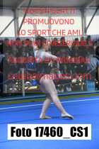 17460_CS1-