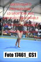 17461_CS1-
