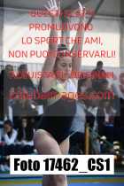 17462_CS1-