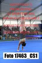 17463_CS1-