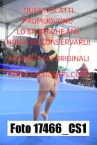 17466_CS1-