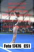 17476_CS1-