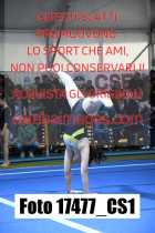 17477_CS1-