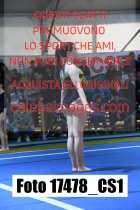 17478_CS1-