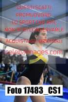 17483_CS1-