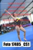 17485_CS1-